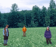 A 1985 photo of an Olympia, WA, meadow sparsely populated with hippies. By 1996, the meadow was destroyed, its topsoil stripped clean by migratory hippie herds numbering in the thousands.